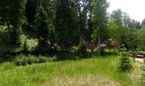 Almost an acre in Evergreen! SOLD!