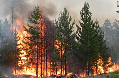 Wildfire Mitigation is Key to Protecting your Home